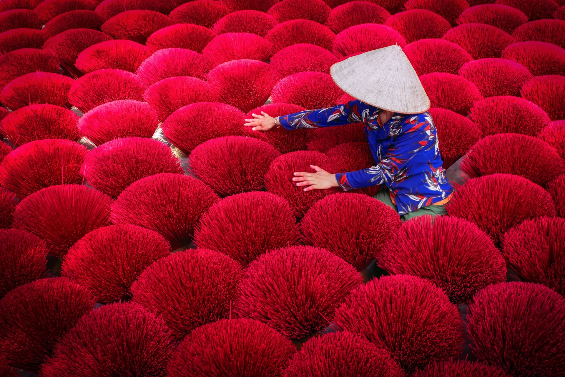 A woman is sitting on top of a pile of red flowers.
