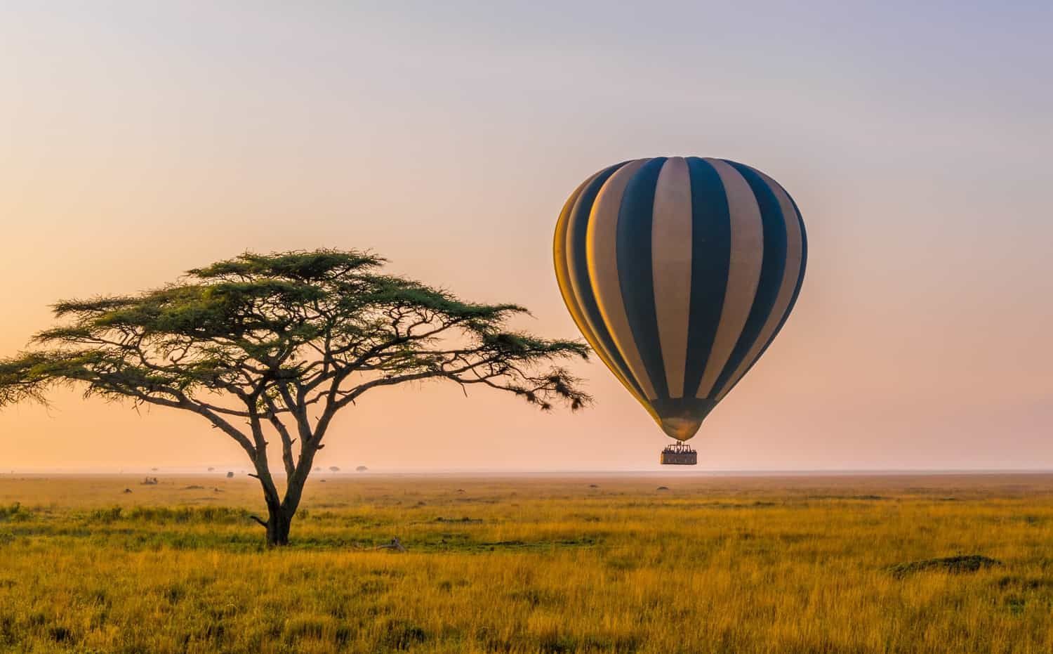 A hot air balloon is flying over a field with a tree in the foreground.