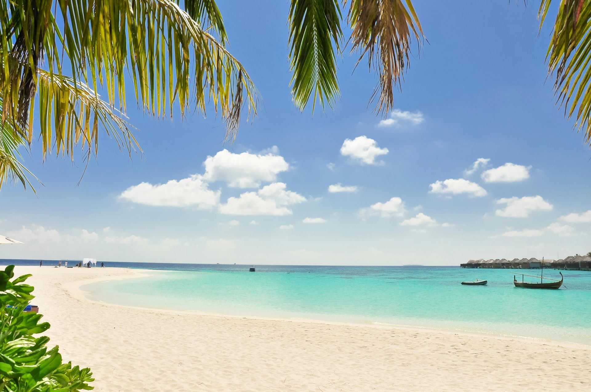 A tropical beach with palm trees and boats in the water.
