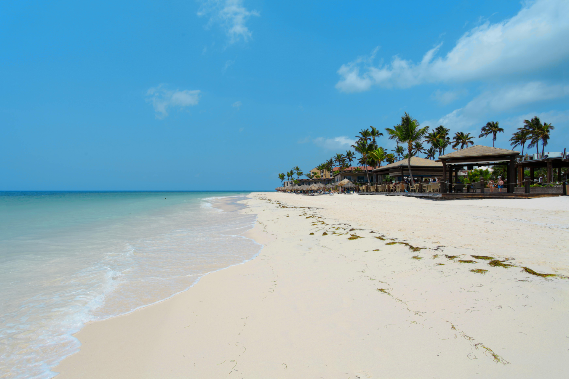 White sandy beach with blue water and sky, palm trees, and covered seating areas.