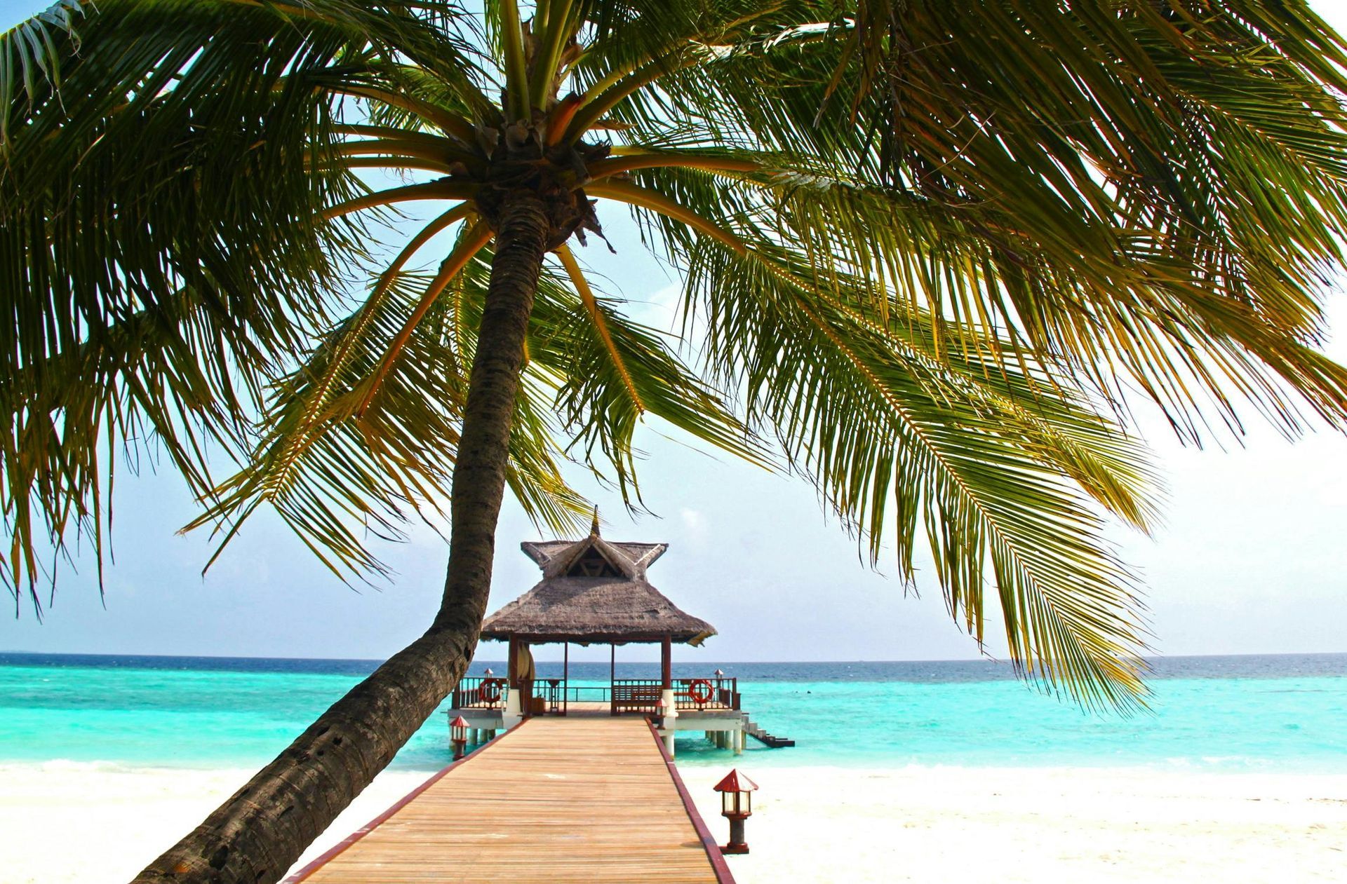 Palm tree over pier to a gazebo on a white sand beach with turquoise water.