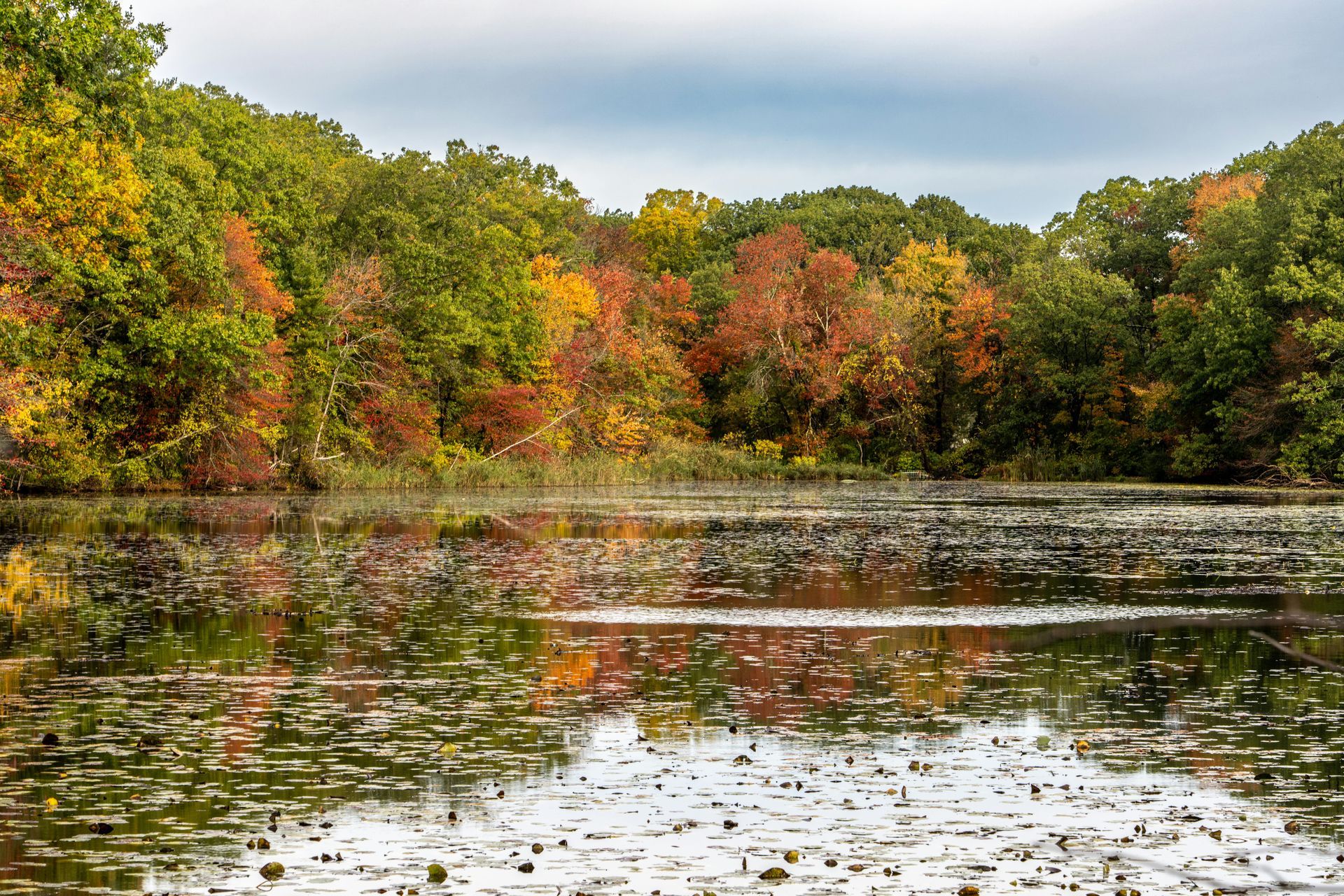 Autumn foliage reflects in a still pond, surrounded by trees with colorful leaves under a cloudy sky.