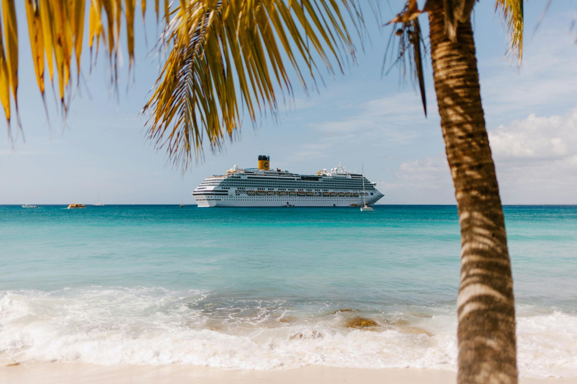Beach scene with palm tree framing a cruise ship on turquoise water under a blue sky.