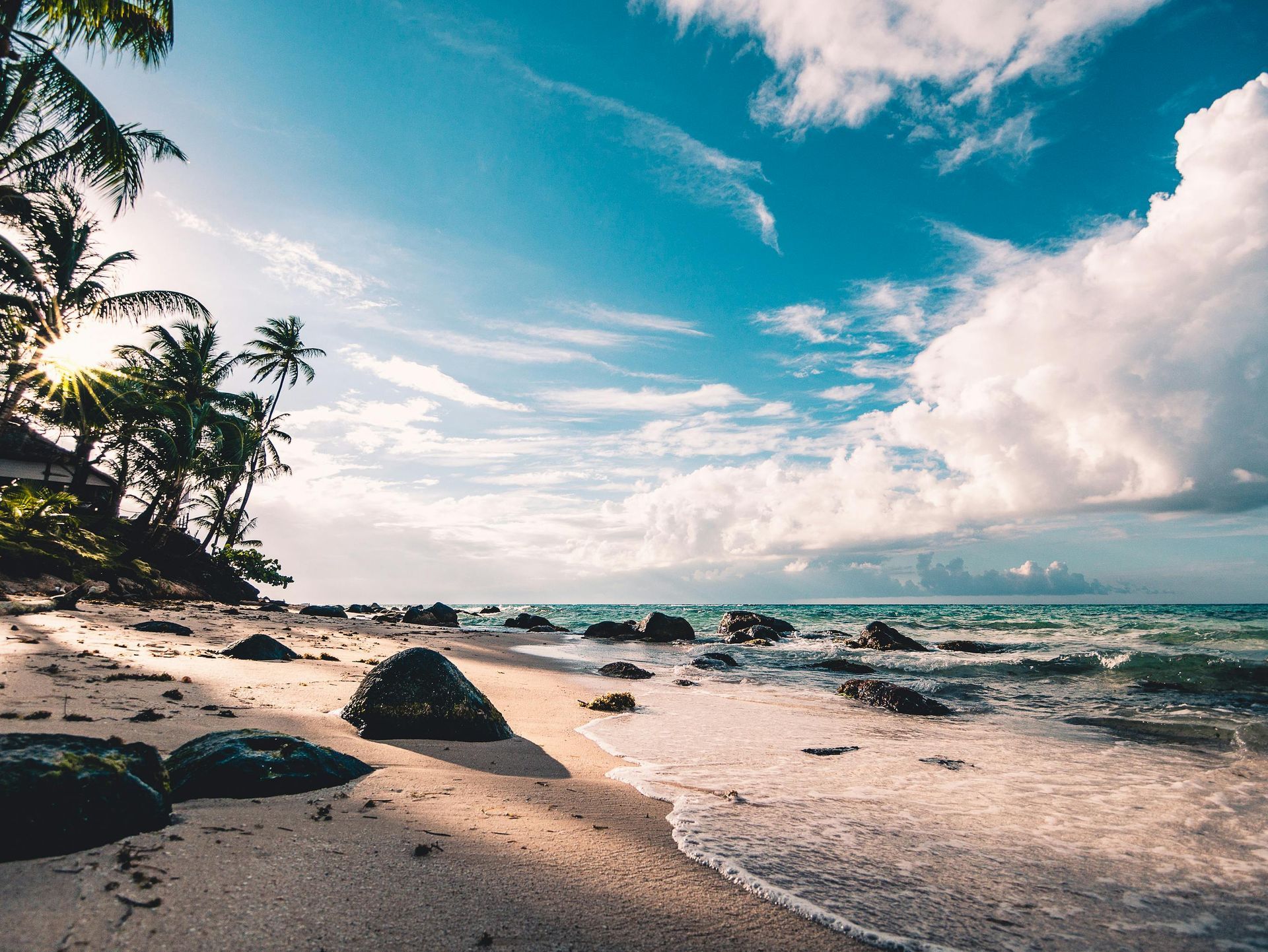 Beach with palm trees, rocks, and gentle waves under a bright blue sky with puffy white clouds.