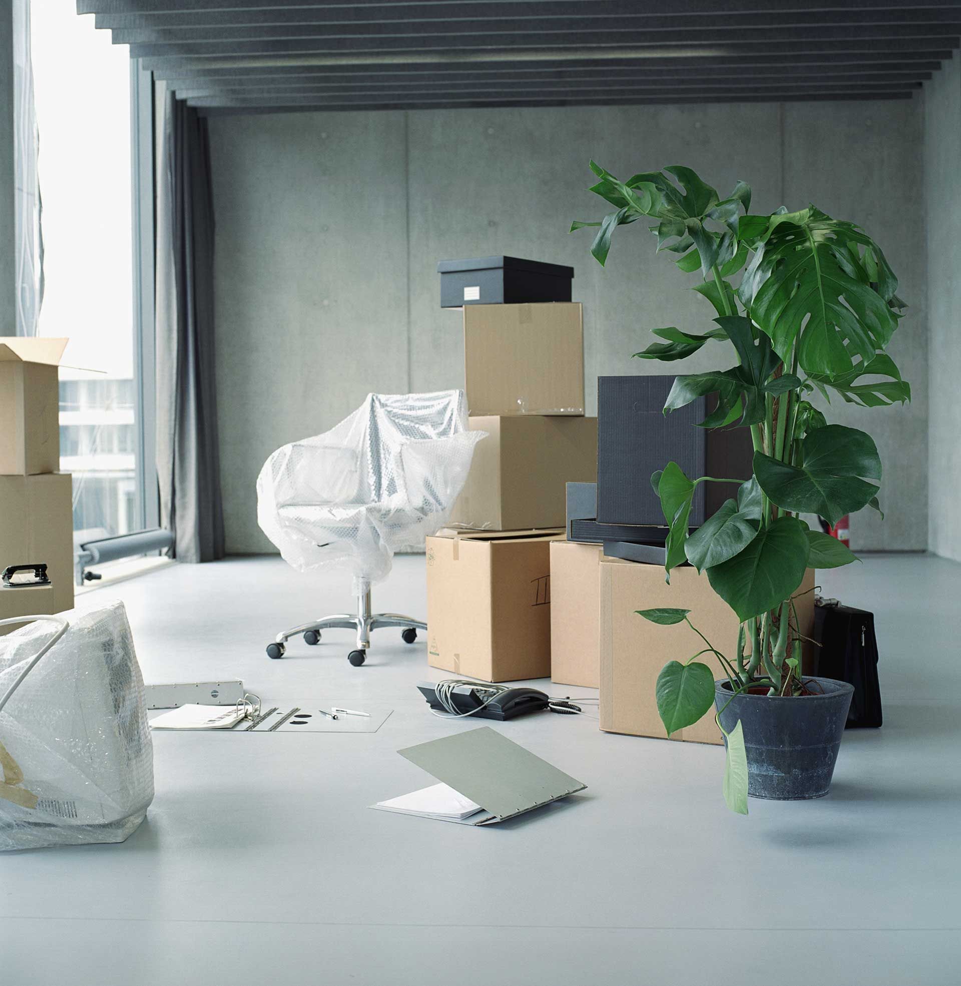 Unités de stockage avec portes sectionnelles vertes et parois en tôle ondulée. Sol en béton. Finitions blanches.