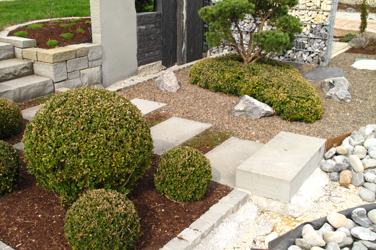 Un jardin avec beaucoup de plantes et de rochers