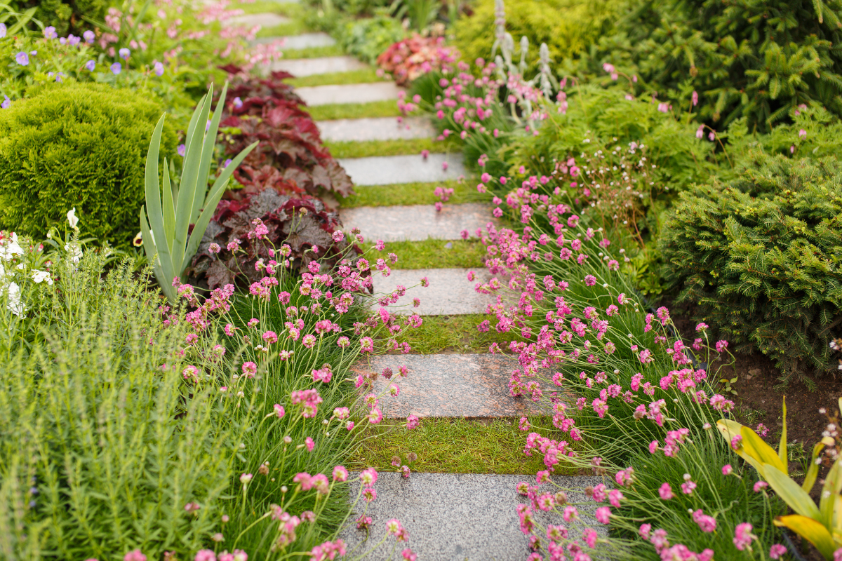 Une allée en pierre entourée de fleurs roses dans un jardin.