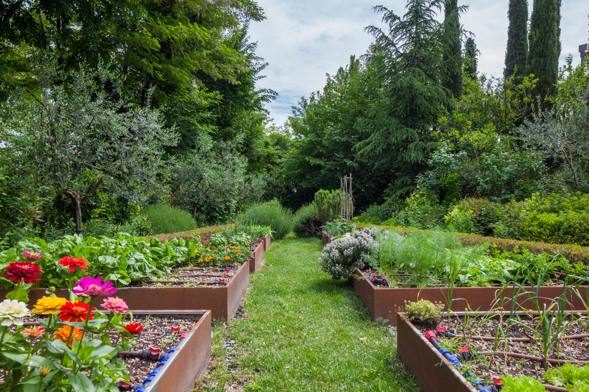 Un jardin rempli de nombreuses plantes et fleurs.