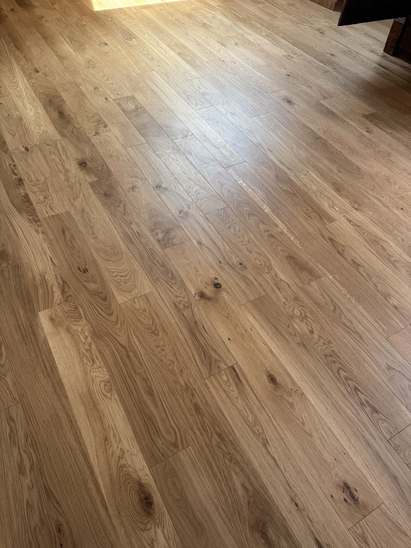 Pièce vide avec un mur gris foncé et un parquet clair