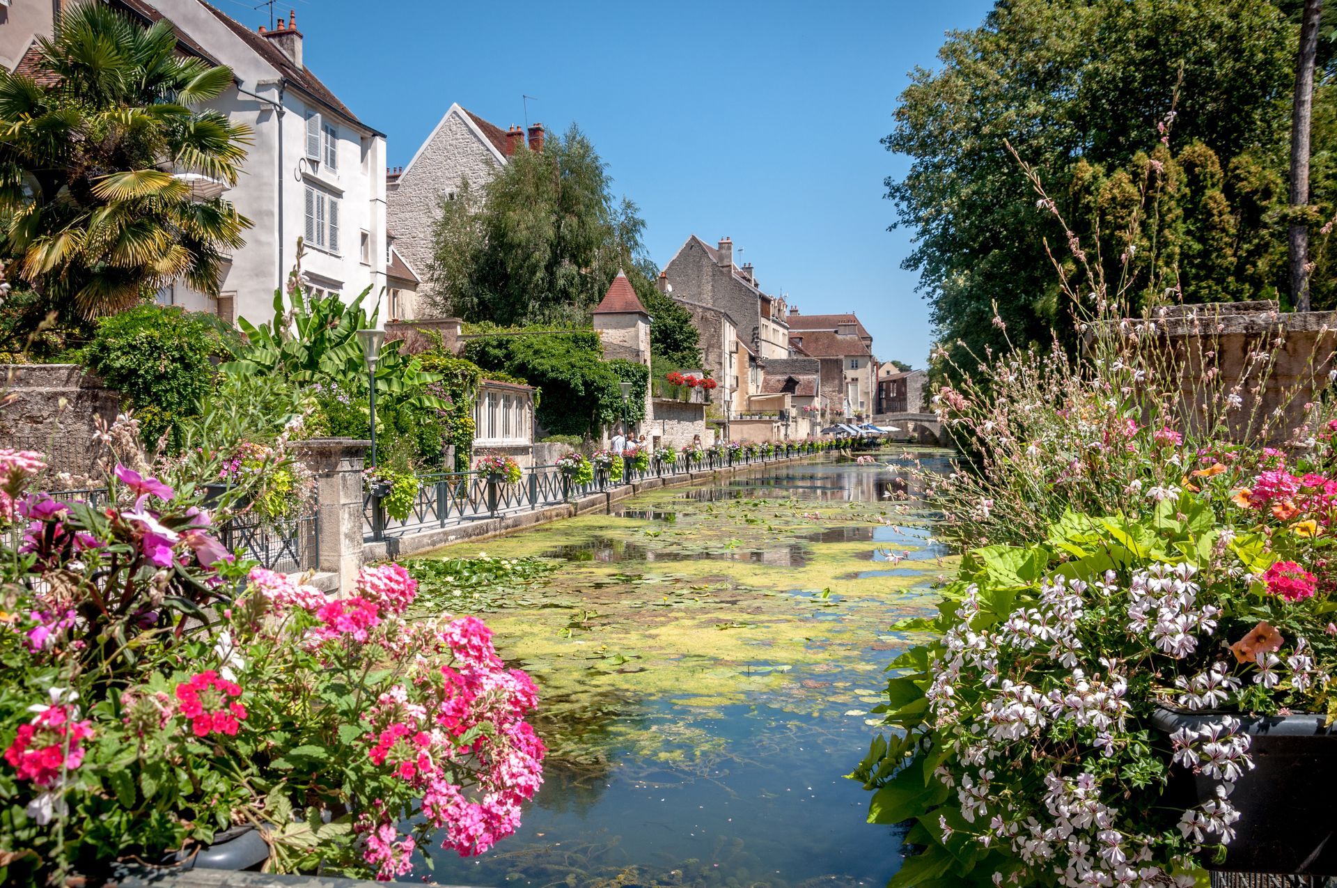 Canal de Dole