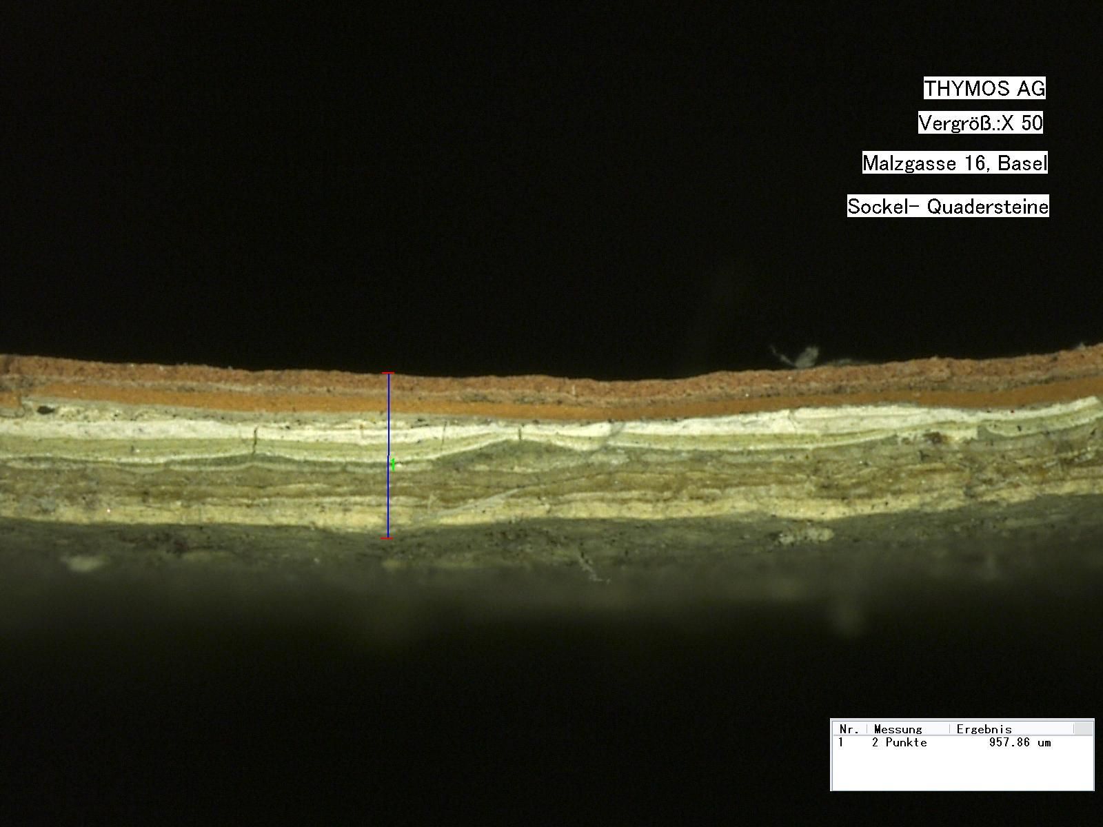 Eine Nahaufnahme eines Holzstücks unter einem Mikroskop.