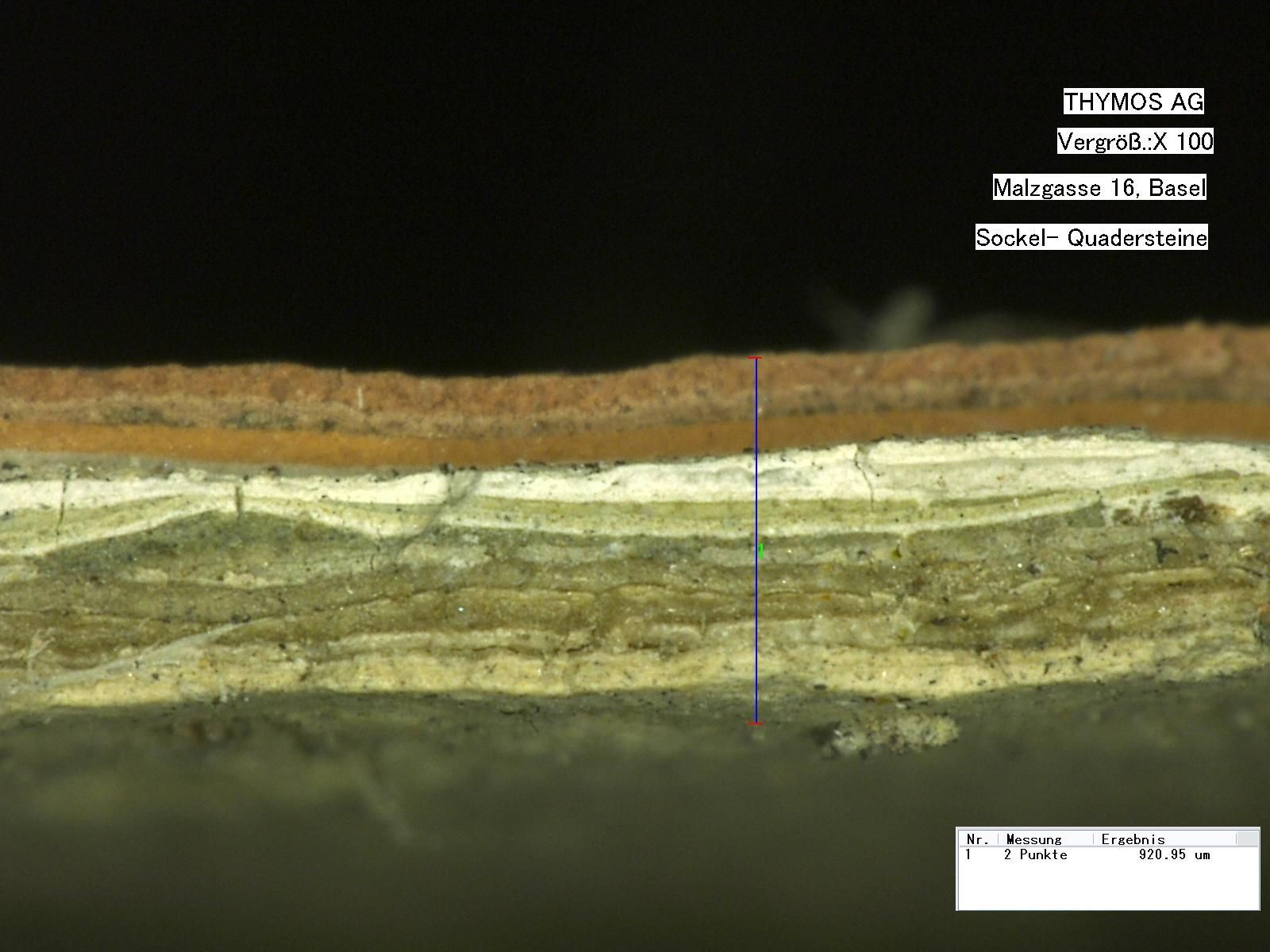 Eine Nahaufnahme eines Holzstücks unter einem Mikroskop.