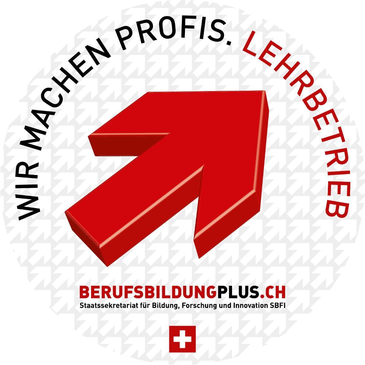 A red arrow with the words wir machen profis lehrerbetrieb around it