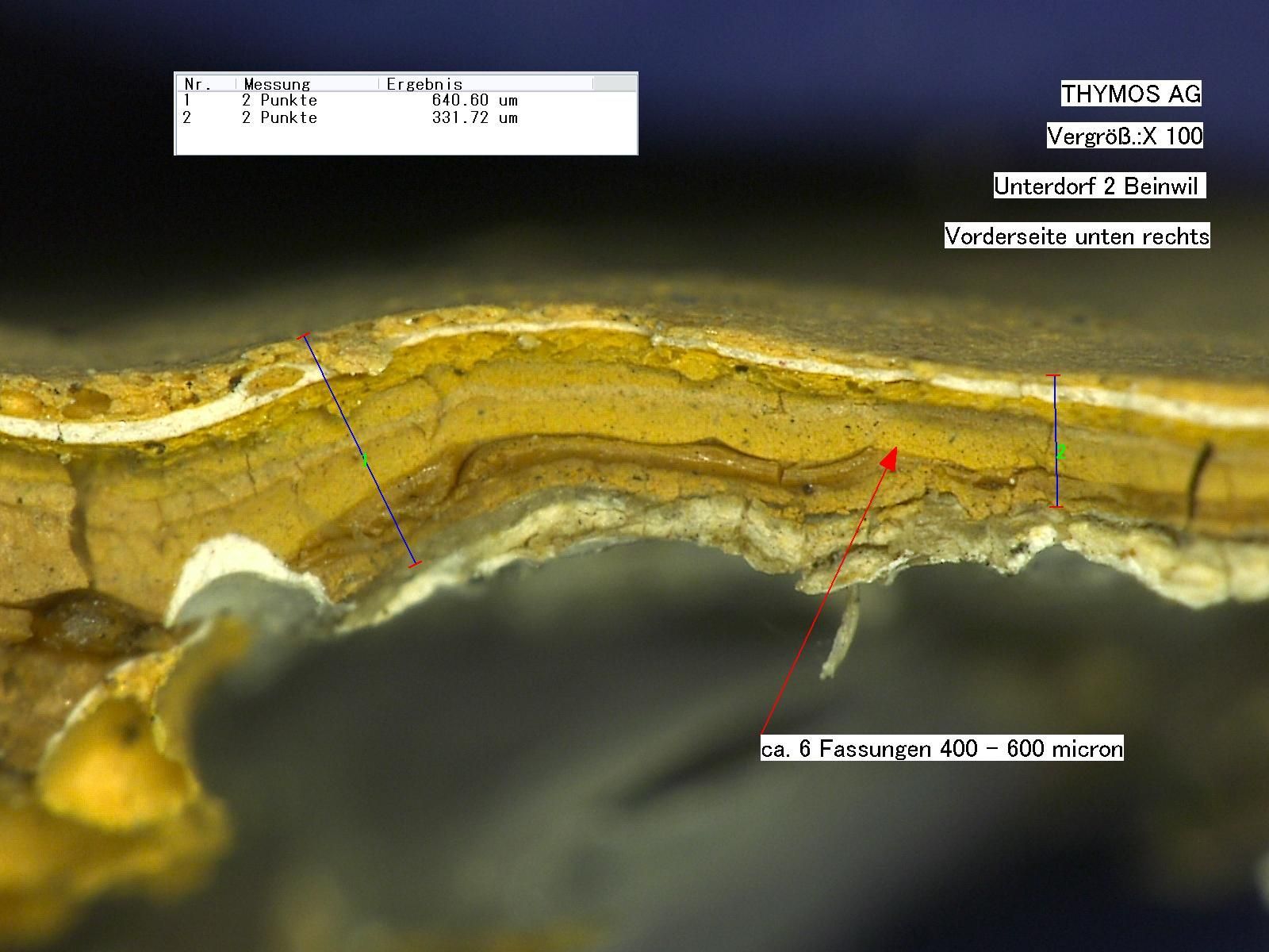 Eine Nahaufnahme eines Holzstücks unter einem Mikroskop.