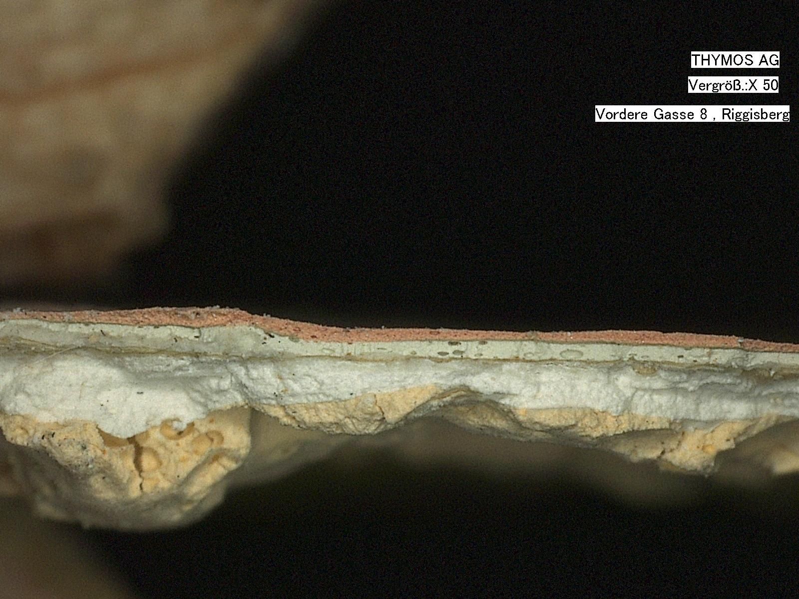 Eine Nahaufnahme eines Stücks Pappe unter einem Mikroskop.