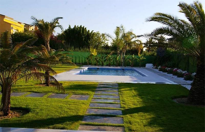 Una gran piscina rodeada de palmeras y césped.
