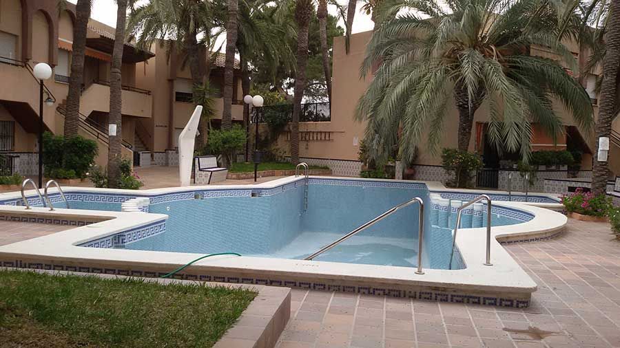 Una piscina vacía con palmeras al fondo.