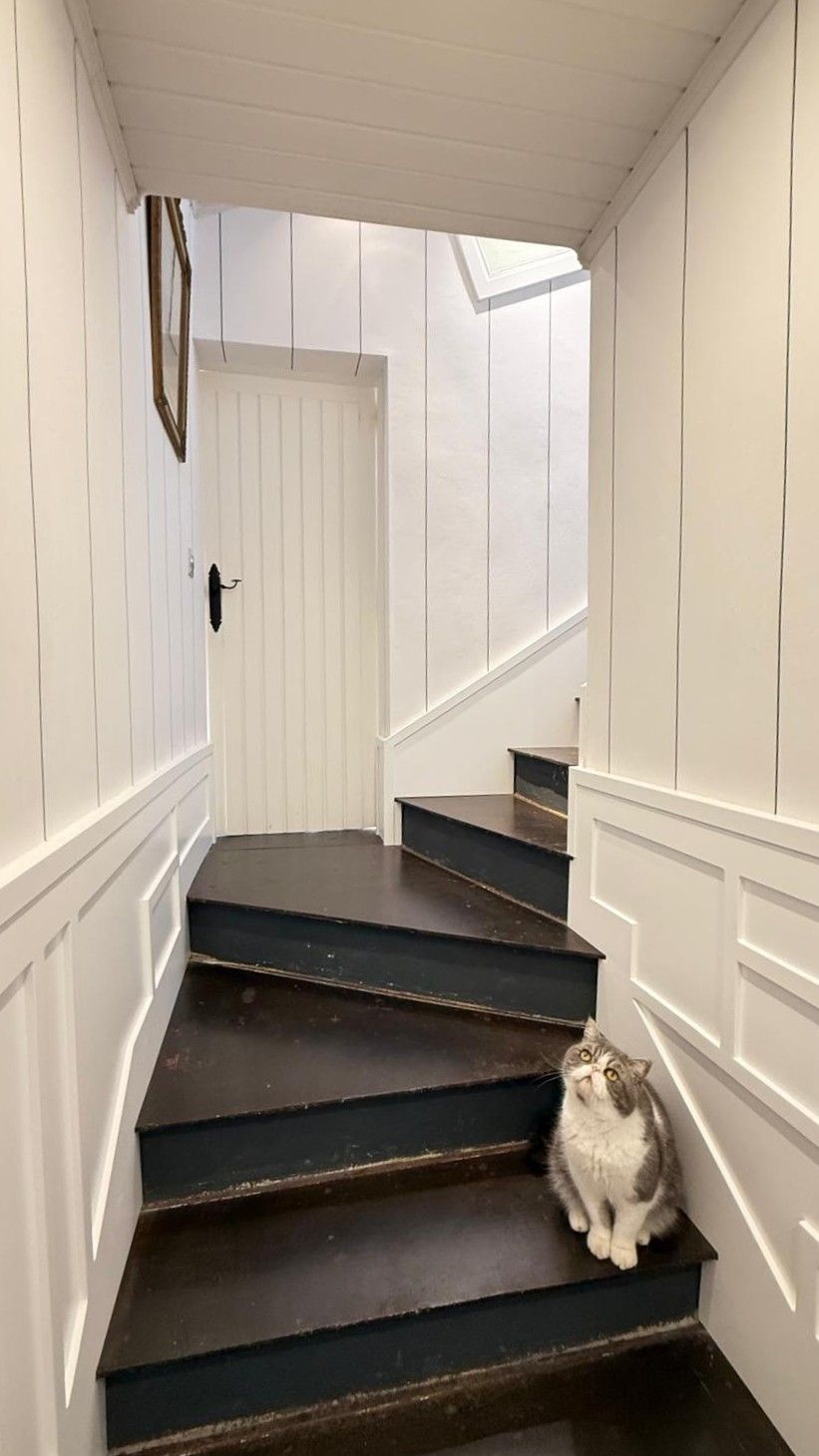 Una escalera estrecha con escalones oscuros, paredes revestidas de paneles blancos y un gato sentado en el primer escalón.
