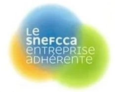 Logo de Snefcca