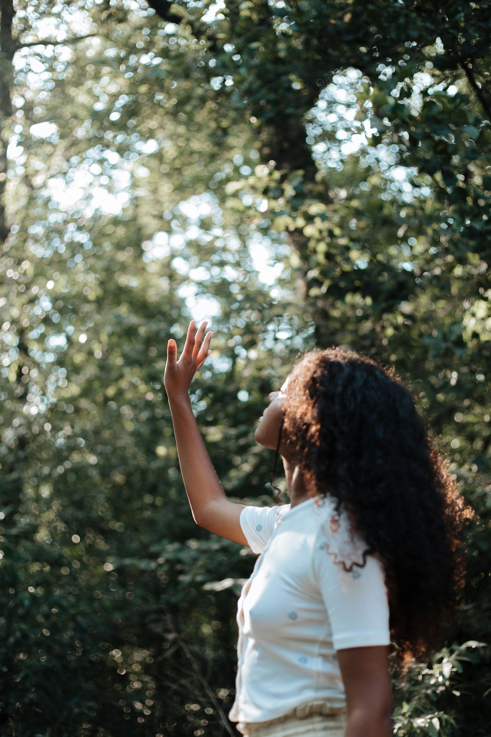 Een vrouw met krullend haar reikt naar de zon die door de groene bladeren in een bos schijnt.