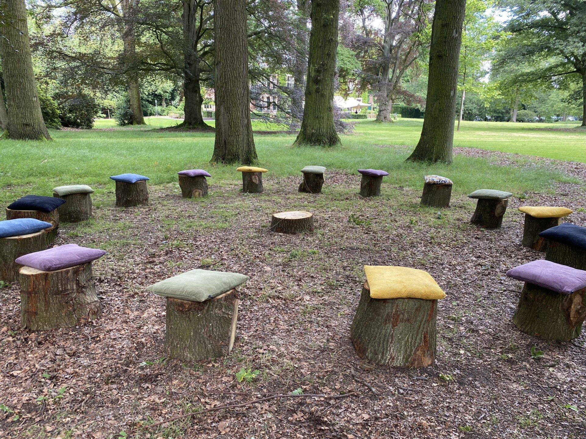 Een cirkel van boomstronken met kleurrijke kussens ligt in een park. Bomen omringen de open plek met groen gras en gevallen bladeren.