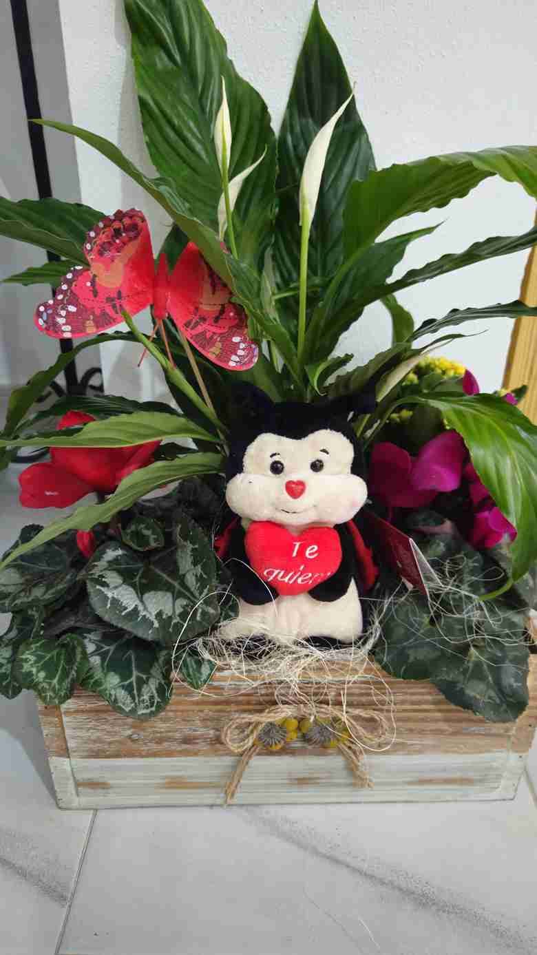 Una jardinera de madera con flores, plantas y una pequeña abeja de peluche sosteniendo un corazón.