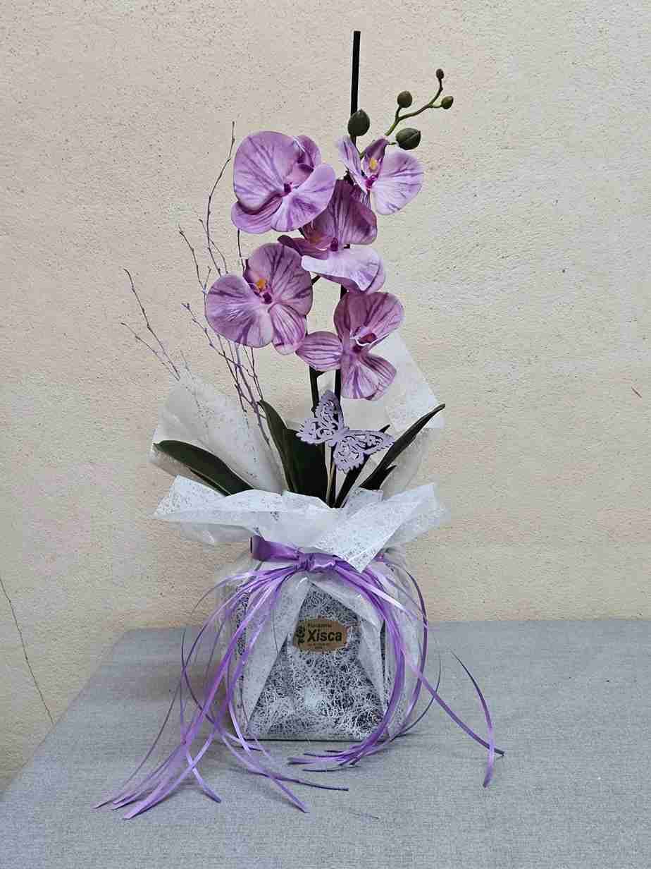 Orquídea morada en maceta decorativa, envuelta con papel blanco y cintas de lavanda.