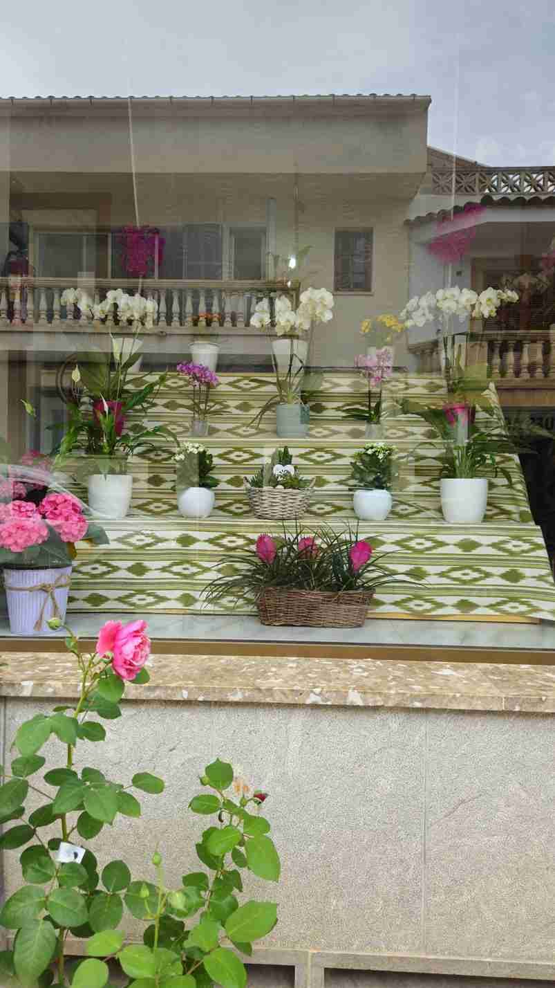 Escaparate de floristería con plantas en macetas y ramos. Rosas rosadas florecen en primer plano.