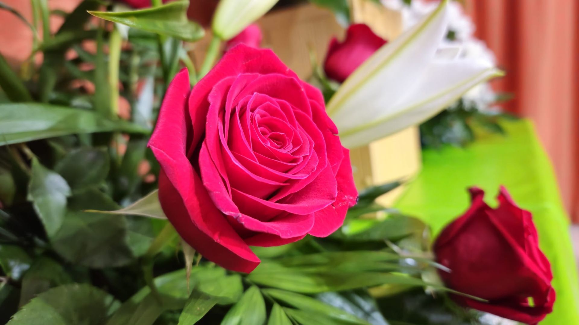 Primer plano de una rosa roja vibrante en plena floración, parte de un ramo. Se ven otras flores y follaje.