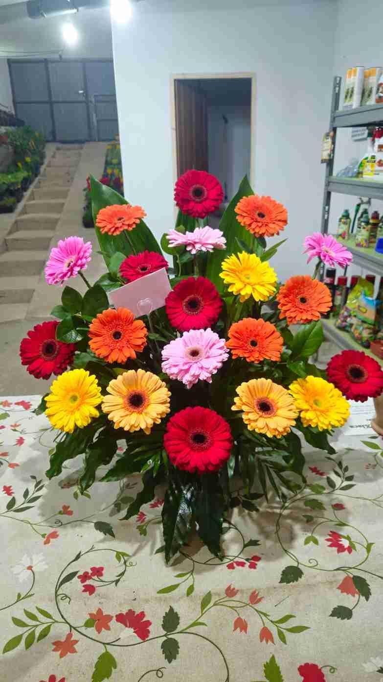 Arreglo floral de margaritas gerberas de colores sobre una mesa, con vegetación y una tarjeta, en una tienda.