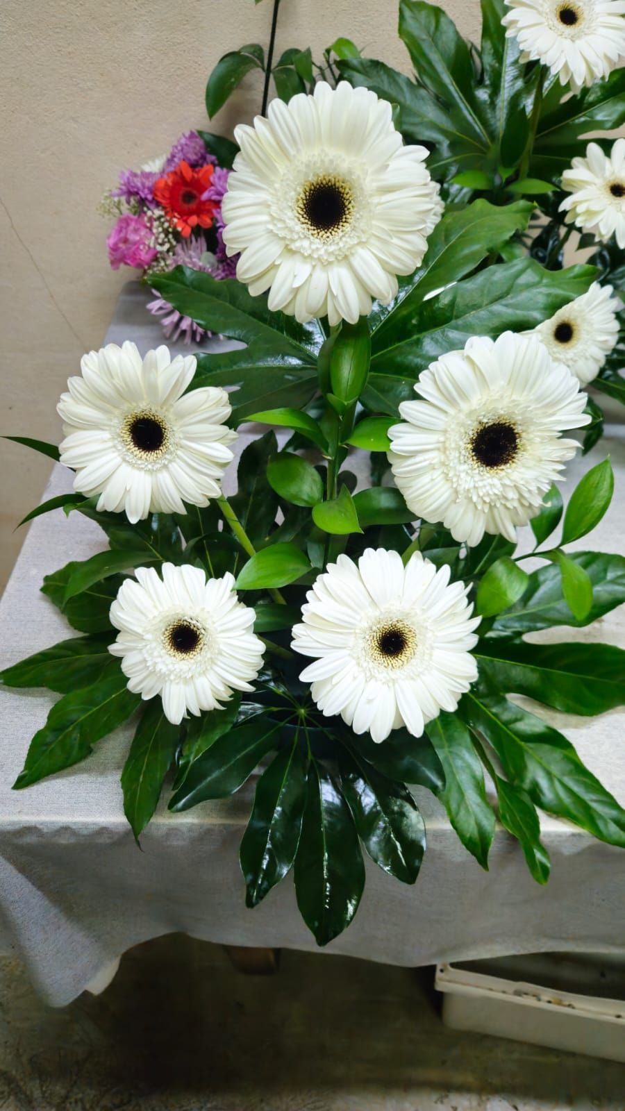 Margaritas gerberas blancas y hojas verdes en un arreglo floral sobre una mesa.