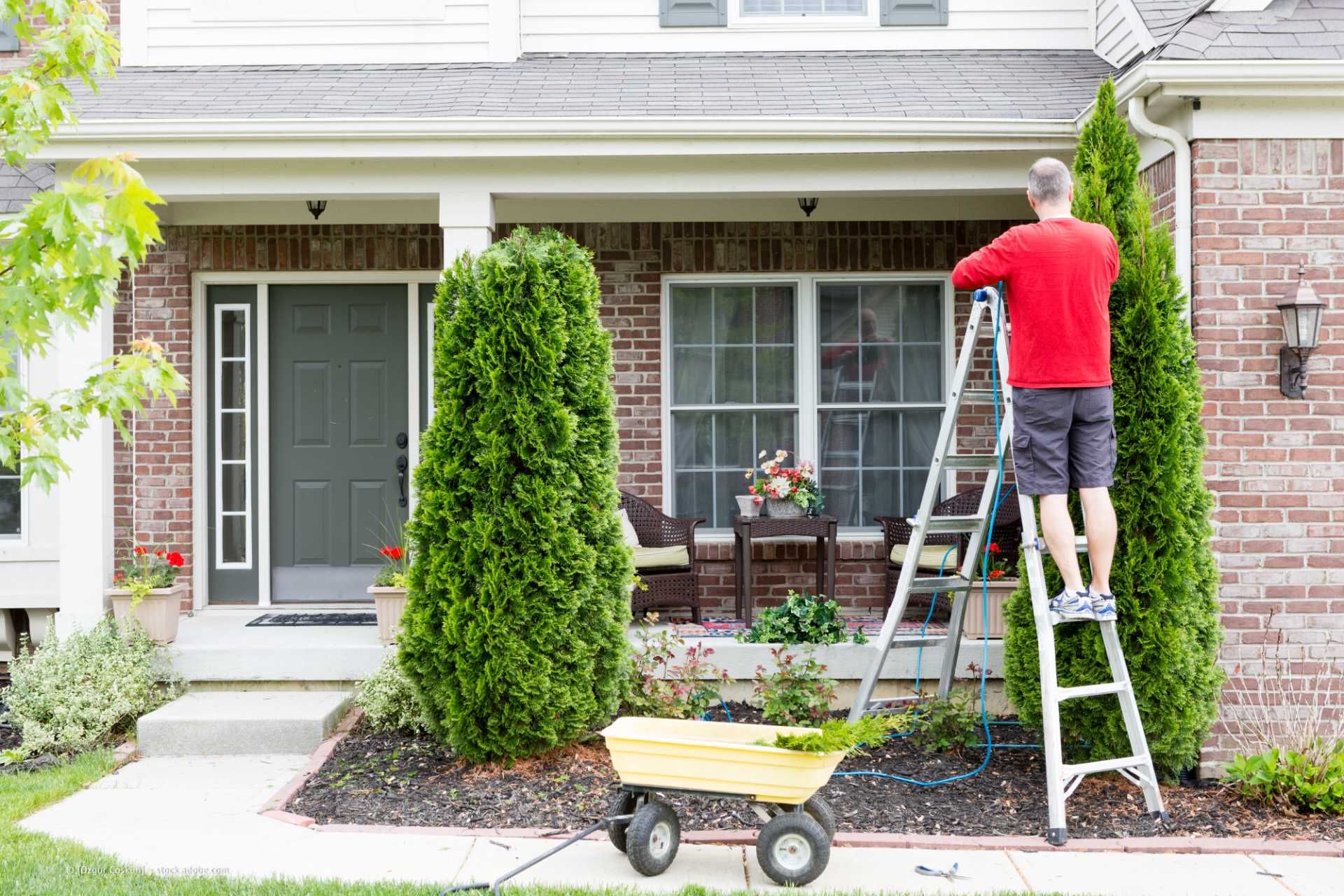 Schmidt & Schmidt Hausmeister-Service – ein Mann beim stutzen von Zierbäumen in einem Vorgarten