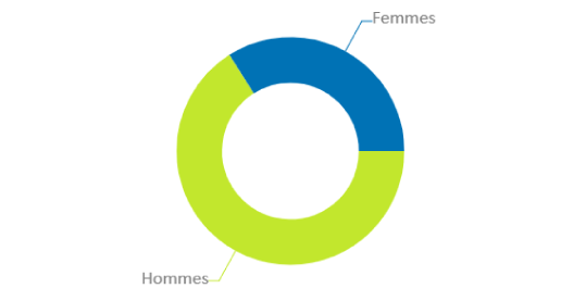 Graphique en anneau