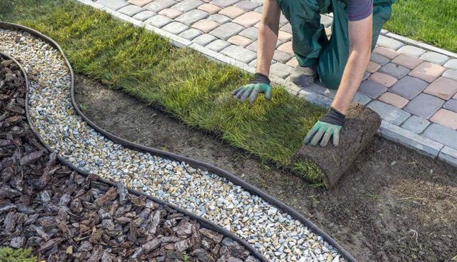 Personne posant un rouleau de gazon en plaques vert le long d’une bordure de jardin, à côté d’une allée en pierre