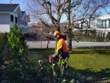 Une personne en veste jaune se tient dans un jardin, à côté d’un petit arbre, avec une maison et une route en arrière-plan