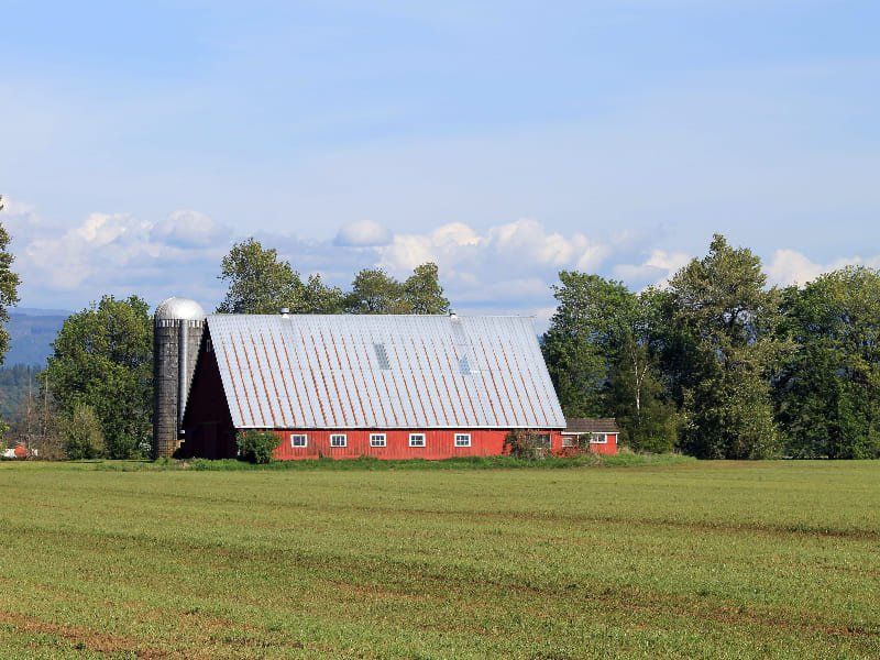 Icône avance rapide