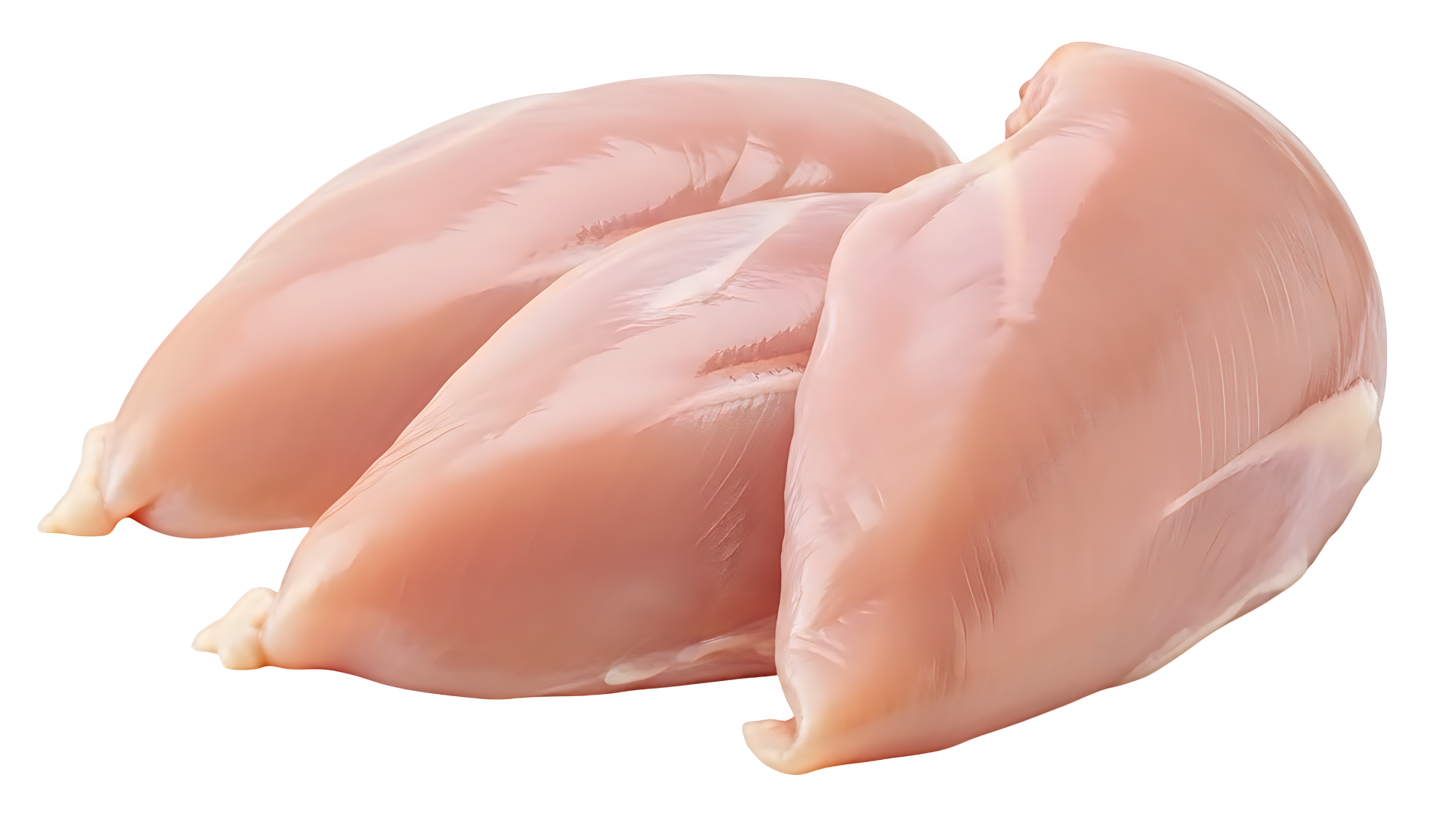 Poitrines de poulet crues sur fond blanc