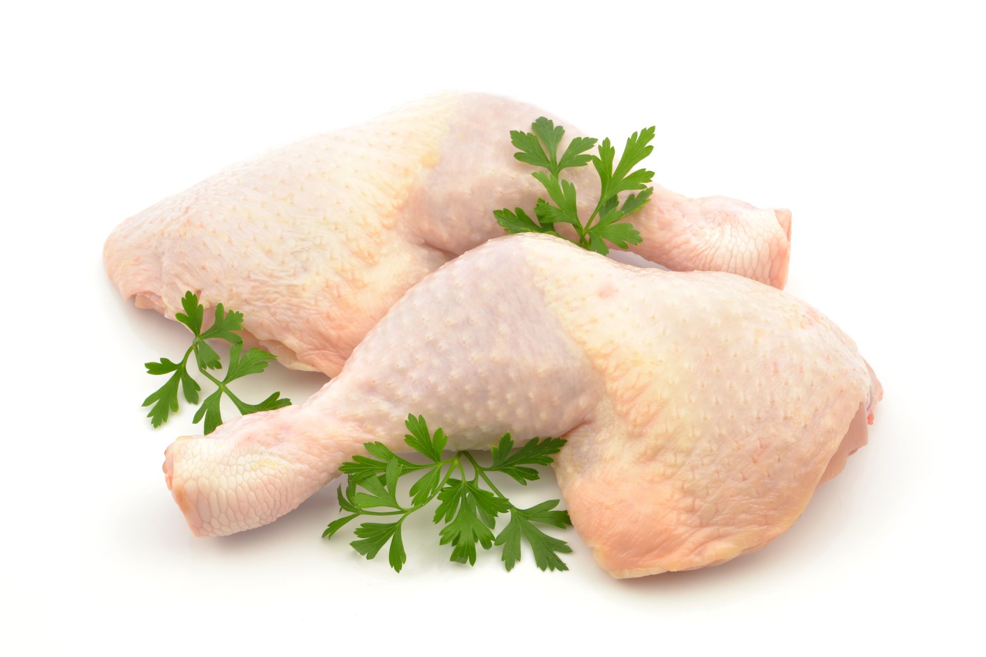 Cuisses de poulet cru avec du persil sur fond blanc