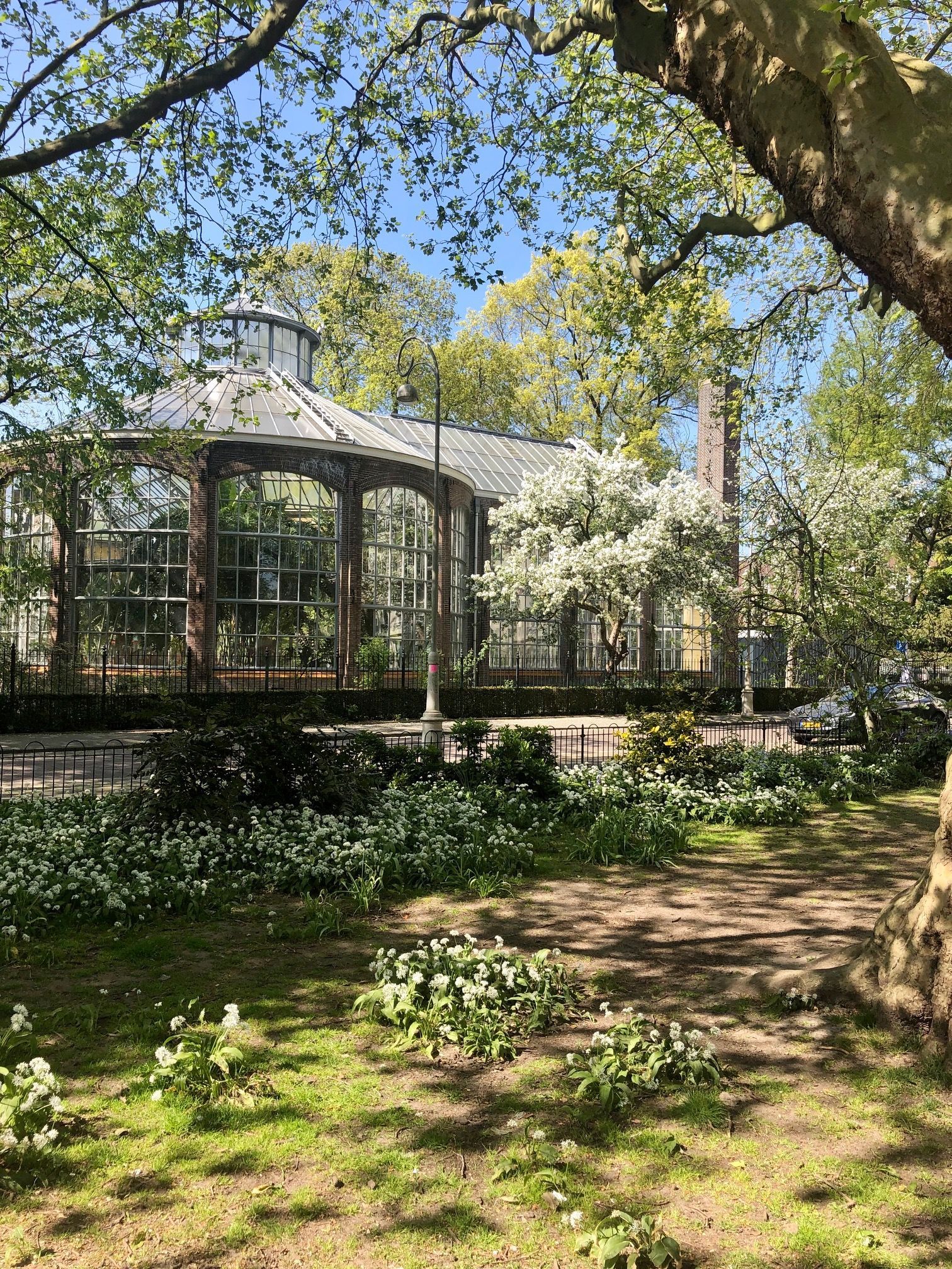 Green neighborhood surrounded by trees. Hortus Botanicus.