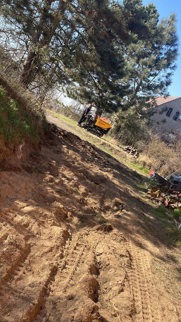 Mitarbeiter von Dienstleistungsservice Bellmann beim Baumschnitt