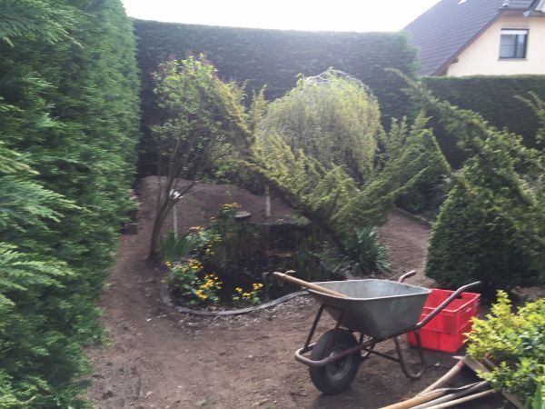 Mitarbeiter von Dienstleistungsservice Bellmann schneiden Bäume