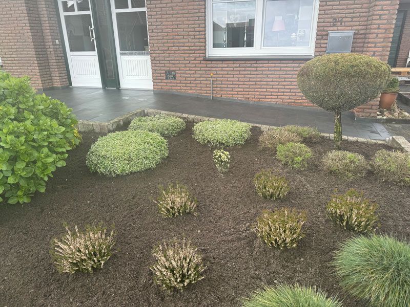 Ein Garten mit vielen Pflanzen und Sträuchern vor einem Backsteinhaus.