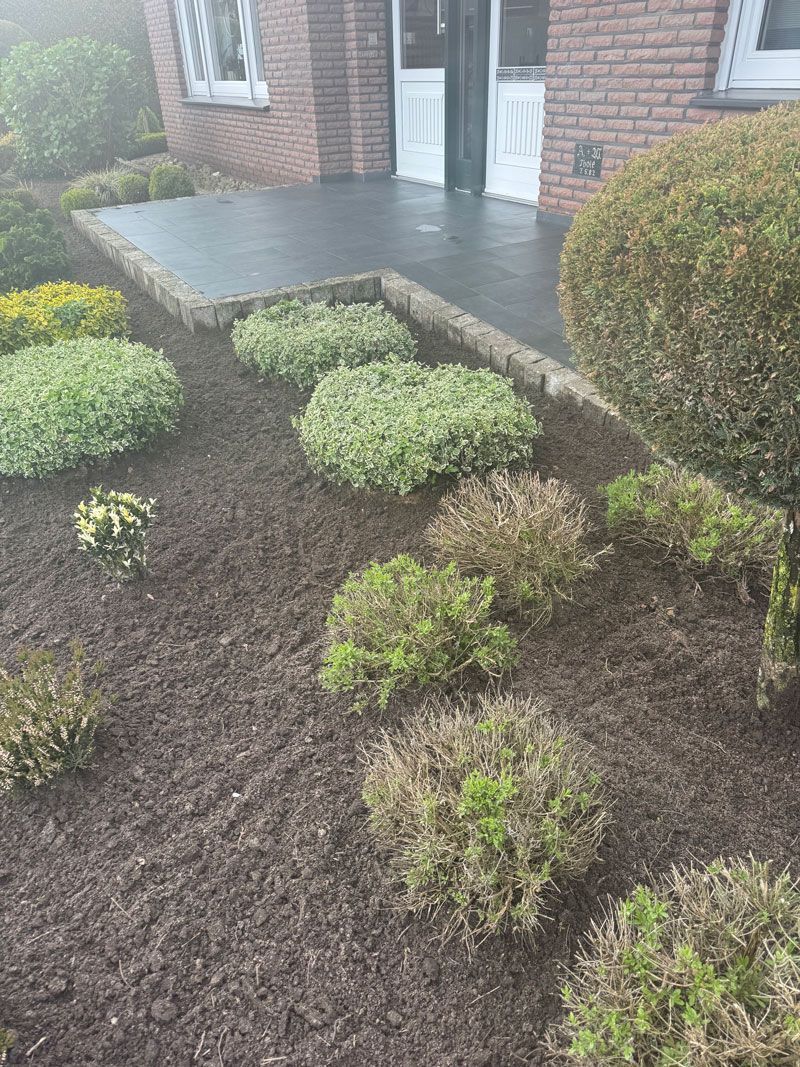 Ein Garten mit vielen Pflanzen und Sträuchern vor einem Backsteinhaus.