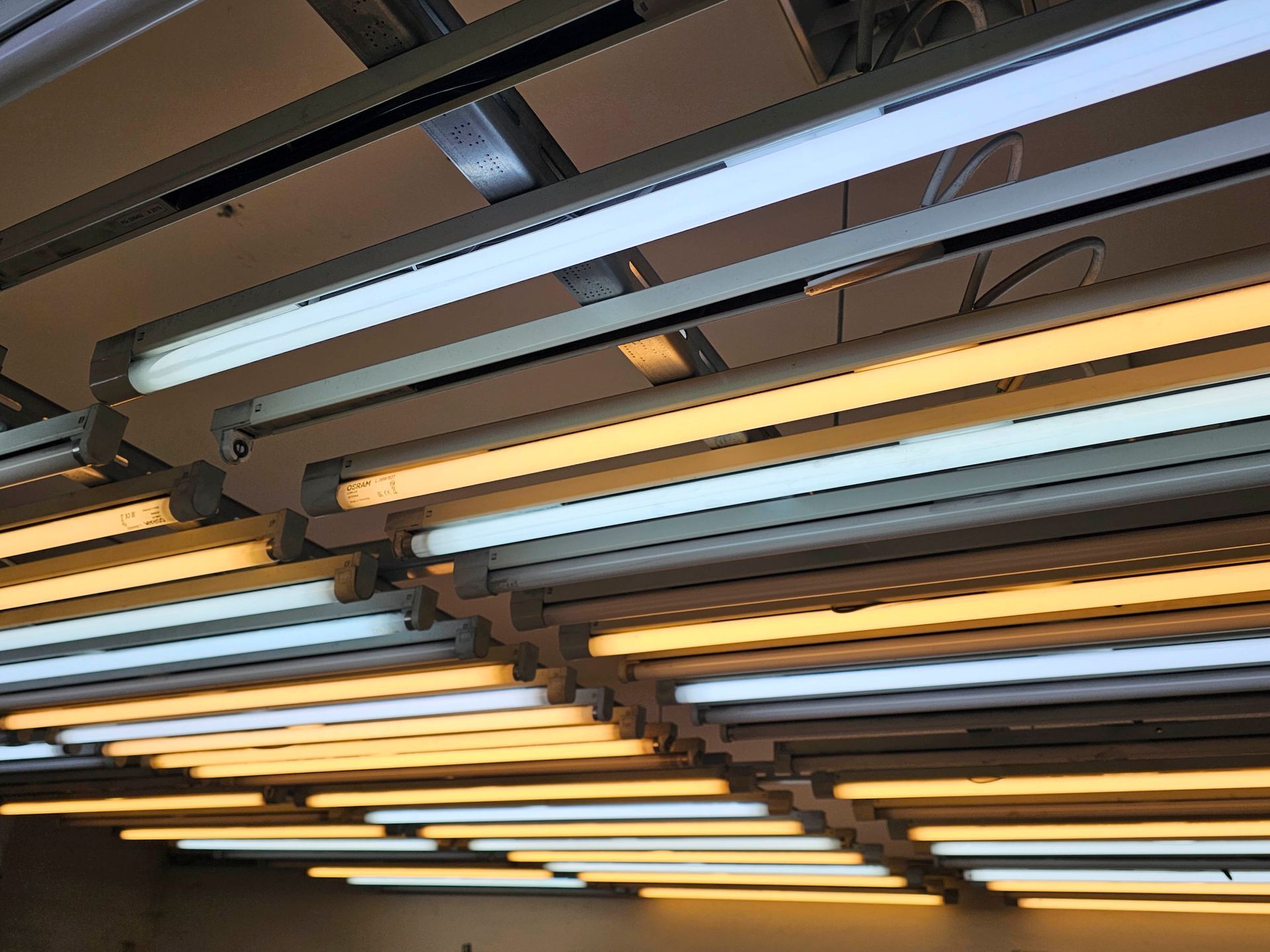 Von der Decke eines Raumes hängen mehrere Leuchtstofflampen.
