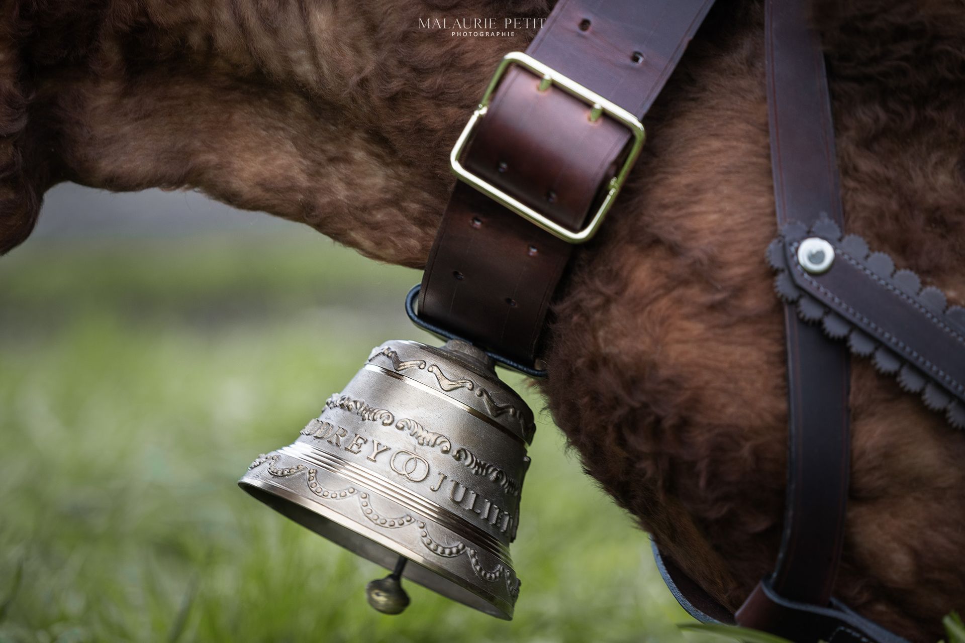 Vers la page Estive et entretien de sellerie et bourrellerie.
