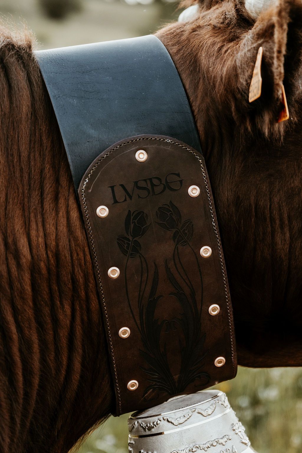 Vers la page Accompagnement d'élevage