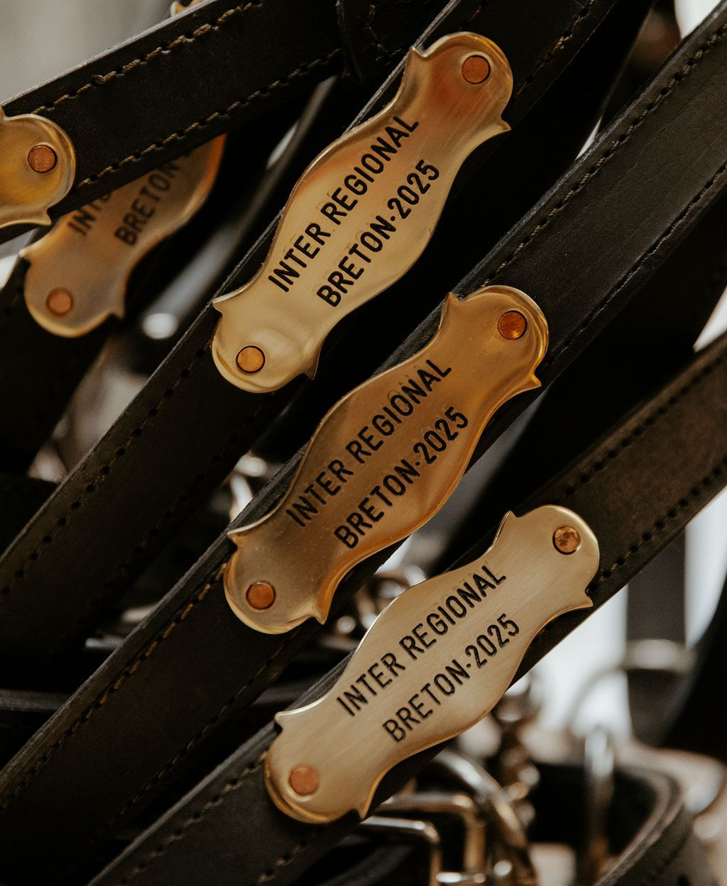 Gros plan sur des sangles en cuir avec des étiquettes métalliques portant une inscription