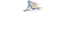Nießmann Orthopädie Technik