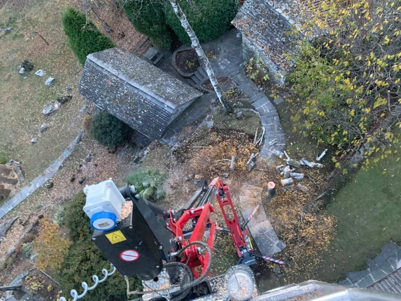 Taglio alberi con gru