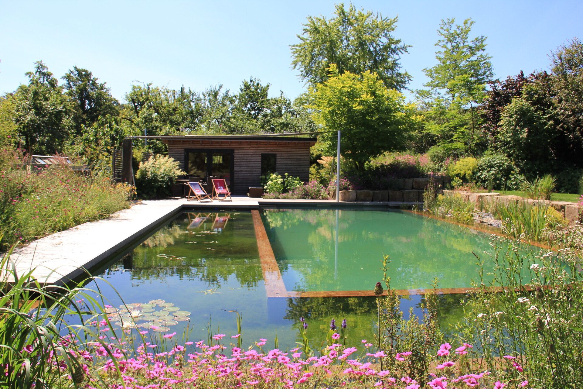 Beckmann & Püntener, piscina naturale in giardino a Gordevio, progettazione, costruzione e manutenzione